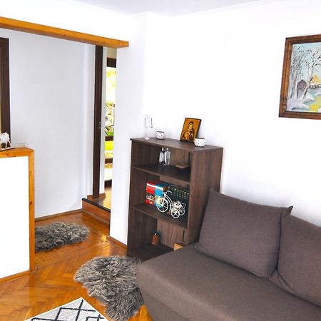 Casa Tex Βίλα Buşteni Εξωτερικό φωτογραφία