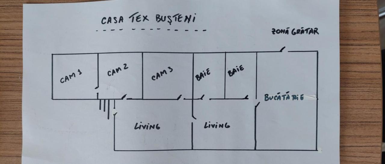 Casa Tex Βίλα Buşteni Εξωτερικό φωτογραφία