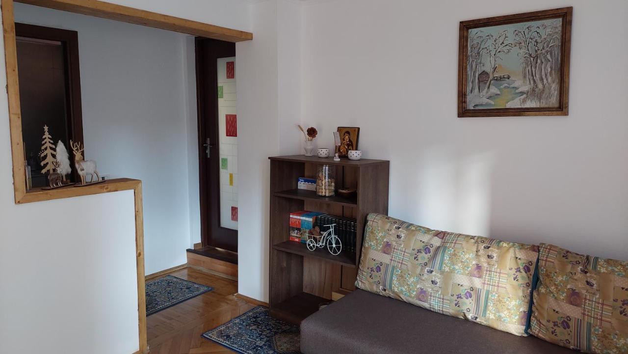 Casa Tex Βίλα Buşteni Εξωτερικό φωτογραφία