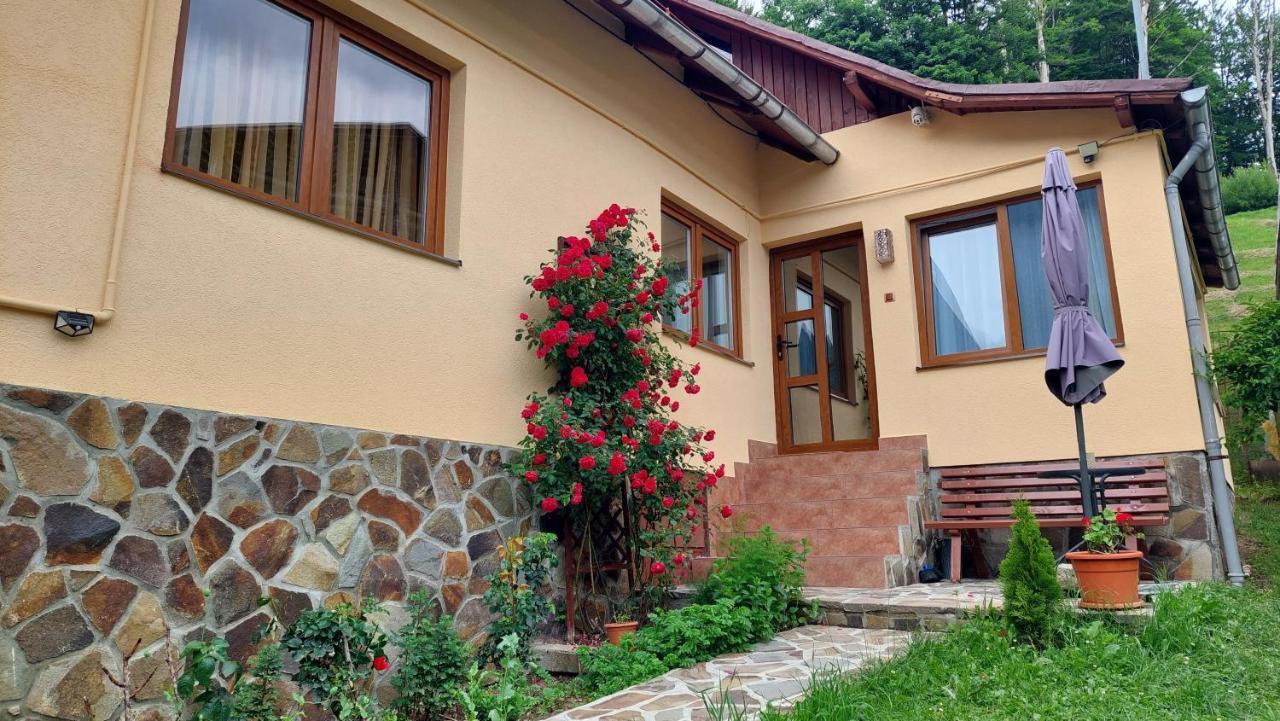 Casa Tex Βίλα Buşteni Εξωτερικό φωτογραφία
