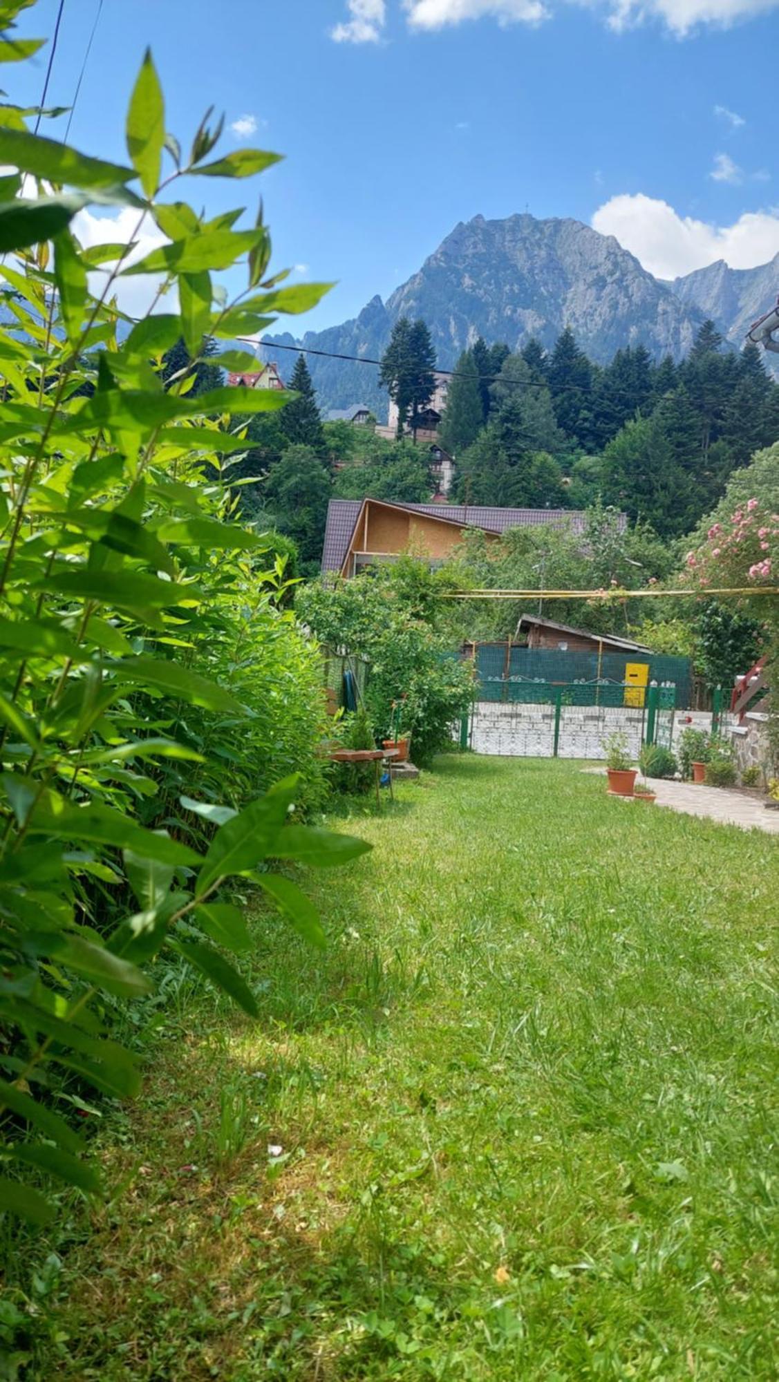 Casa Tex Βίλα Buşteni Εξωτερικό φωτογραφία